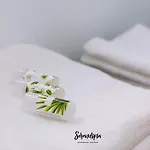 Serendipia Caces