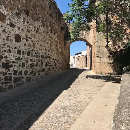 Serendipia *