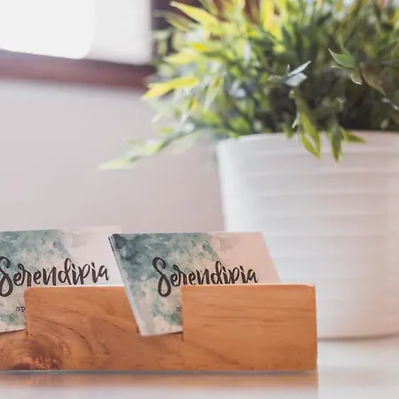 Serendipia