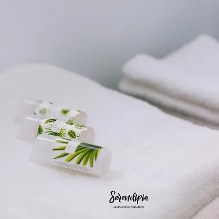 Serendipia Caceres