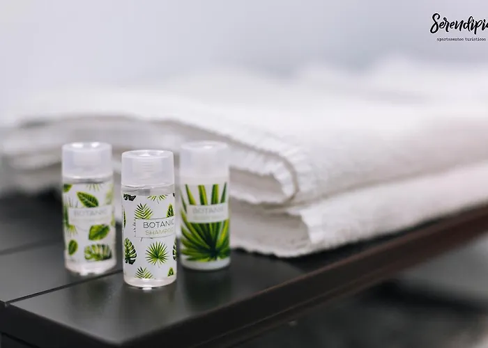 Serendipia Lejlighed Caces